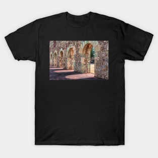 San Bartolo Coyotepec. Oaxaca, Mexico. T-Shirt